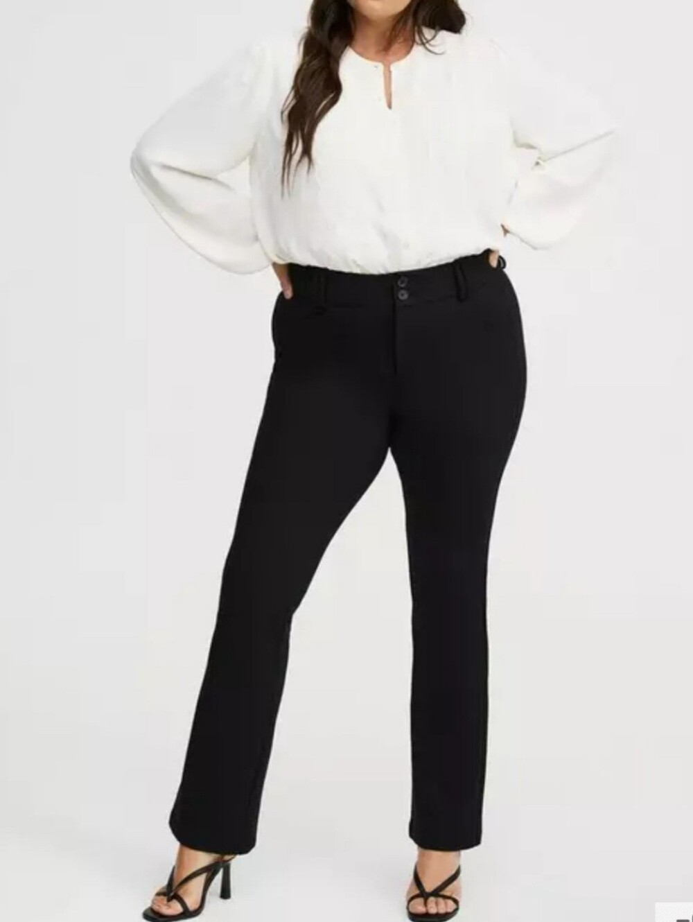 Torrid Studio by Torrid Trouser Boot Pants - Classic Professional Fit